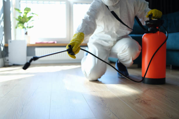 Reliable Odor Removal contractor in Palmer, TX by Trauma Clean Pros